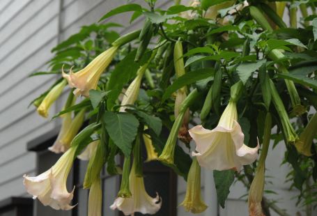 f:id:simmel20:20110606141632j:image f:id:simmel20:20110606141632j:image