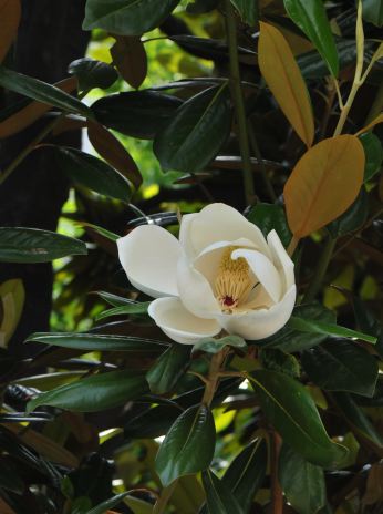 f:id:simmel20:20110614124036j:image f:id:simmel20:20110614124036j:image