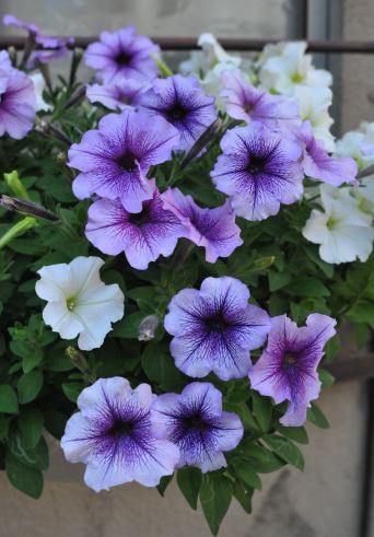 f:id:simmel20:20111008152940j:image