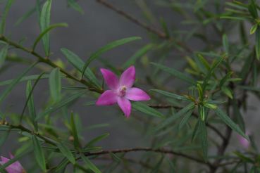 f:id:simmel20:20111128181359j:image