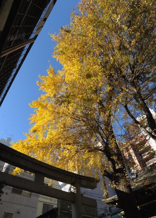f:id:simmel20:20111204170124j:image