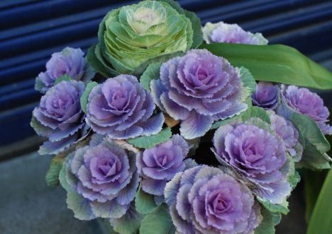 f:id:simmel20:20111230172222j:image f:id:simmel20:20111230172222j:image