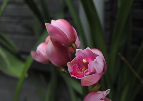 f:id:simmel20:20120226203652j:image