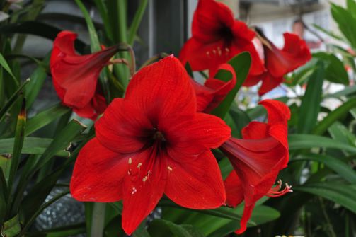 f:id:simmel20:20120605163308j:image