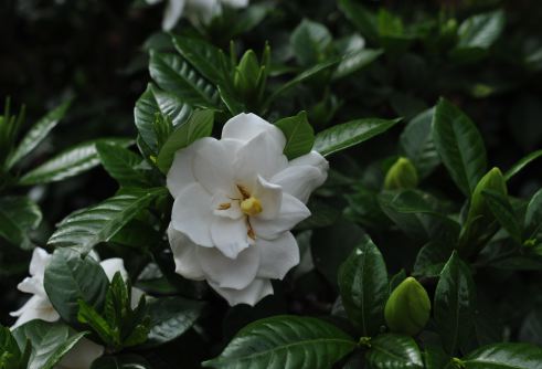 f:id:simmel20:20120605163309j:image