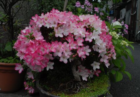 f:id:simmel20:20120608182603j:image