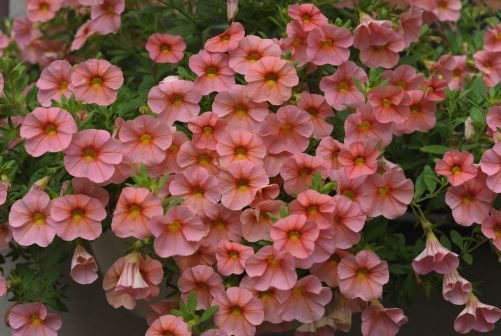 f:id:simmel20:20120615121026j:image