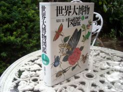 f:id:simmel20:20120615153219j:image f:id:simmel20:20120615153219j:image