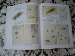 f:id:simmel20:20120615153220j:image f:id:simmel20:20120615153220j:image