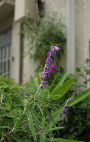 f:id:simmel20:20120622135659j:image