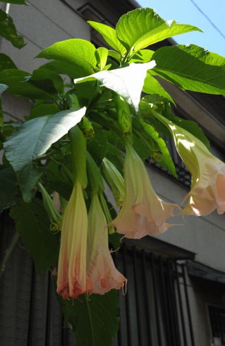 f:id:simmel20:20120709182717j:image f:id:simmel20:20120709182717j:image