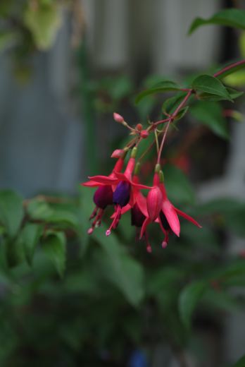 f:id:simmel20:20120731213018j:image f:id:simmel20:20120731213018j:image