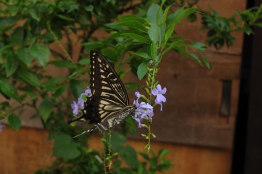 f:id:simmel20:20120925105210j:image f:id:simmel20:20120925105210j:image