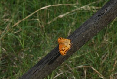 f:id:simmel20:20120926170445j:image