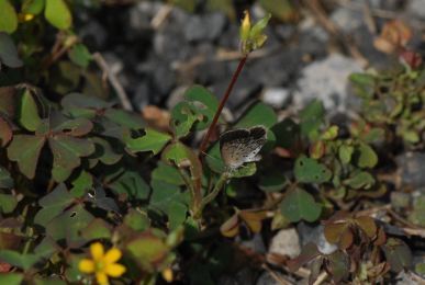 f:id:simmel20:20120926170446j:image