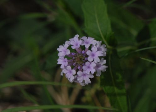 f:id:simmel20:20120926170447j:image