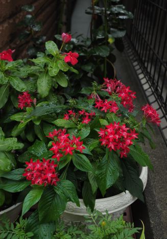 f:id:simmel20:20121008175640j:image