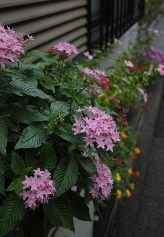 f:id:simmel20:20121008175641j:image