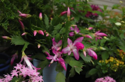 f:id:simmel20:20121025181458j:image f:id:simmel20:20121025181458j:image