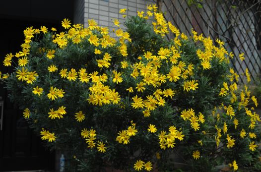 f:id:simmel20:20121113001150j:image
