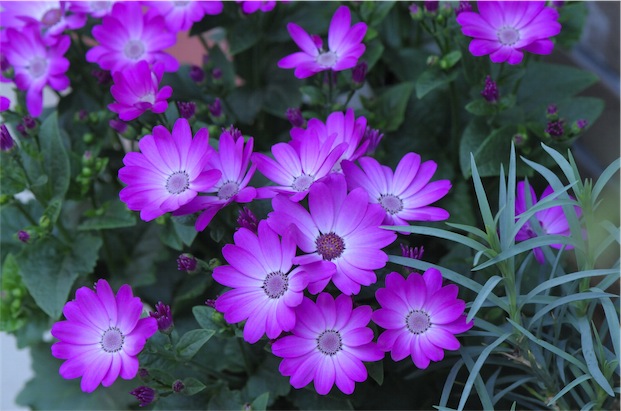 f:id:simmel20:20130205113700j:image