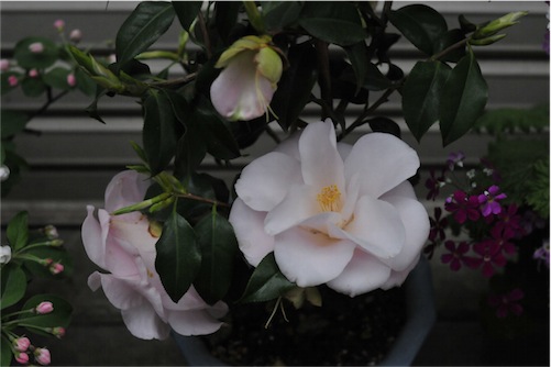 f:id:simmel20:20130401144752j:image