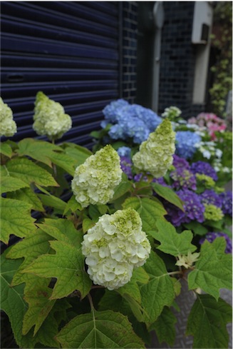 f:id:simmel20:20130526102218j:image