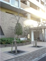 f:id:simmel20:20131207123447j:image f:id:simmel20:20131207123447j:image