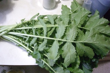 f:id:simmel20:20131226153248j:image