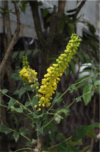 f:id:simmel20:20131226173839j:image