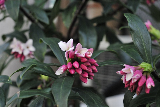 f:id:simmel20:20140307113324j:image