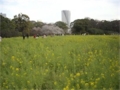 f:id:simmel20:20140406171812j:image:medium