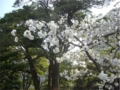 f:id:simmel20:20140406171813j:image:medium