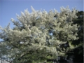 f:id:simmel20:20140406171814j:image:medium
