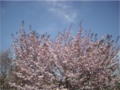 f:id:simmel20:20140406171815j:image:medium