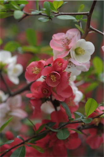 f:id:simmel20:20140407112849j:image
