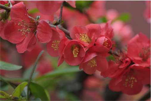 f:id:simmel20:20140407112850j:image