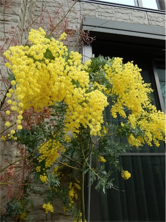 f:id:simmel20:20150315140311j:image