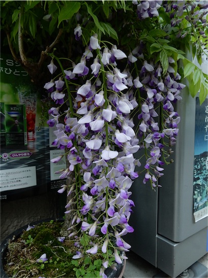 f:id:simmel20:20150424161515j:image