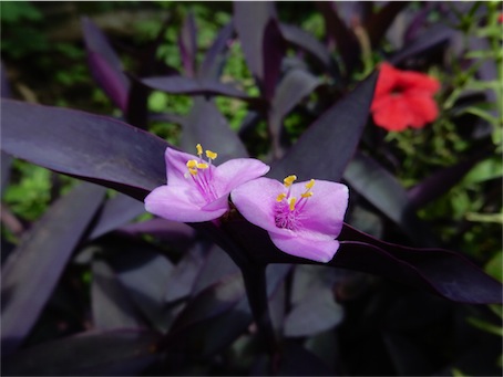 f:id:simmel20:20150611163717j:image
