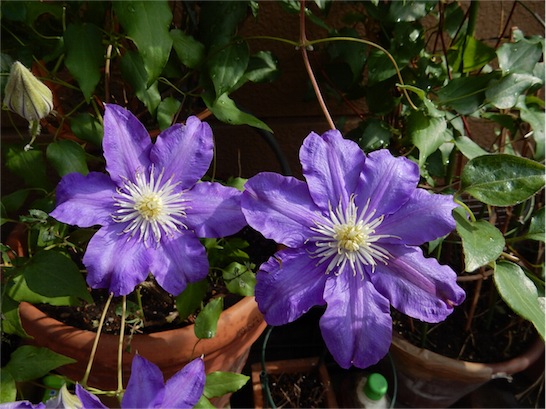 f:id:simmel20:20151101224528j:image