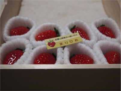 f:id:simmel20:20161127122849j:image