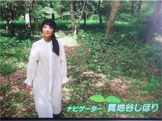 f:id:simmel20:20170703150250j:image