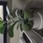f:id:simmel20:20170913182957j:image