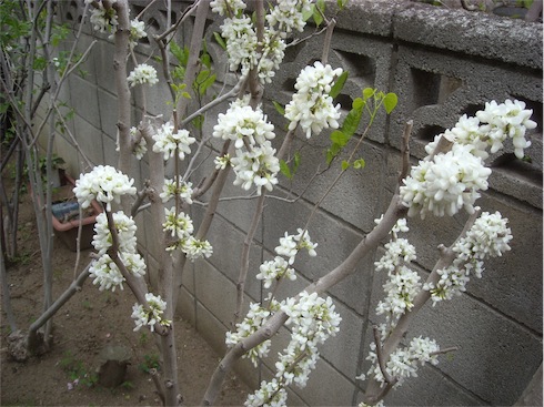 f:id:simmel20:20180406235813j:image