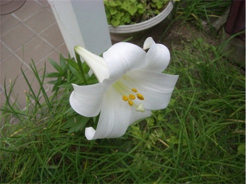 f:id:simmel20:20180608202353j:image