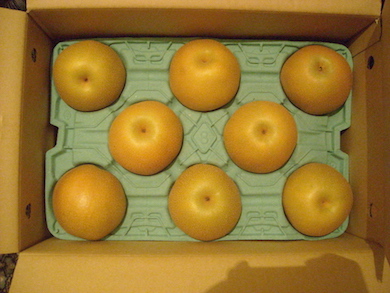 f:id:simmel20:20180911134032j:image f:id:simmel20:20180911134032j:image