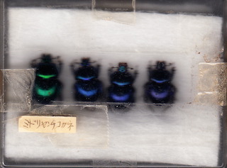 f:id:simmel20:20181228002954j:image