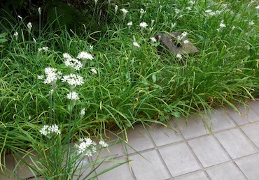 f:id:simmel20:20210901161607j:plain