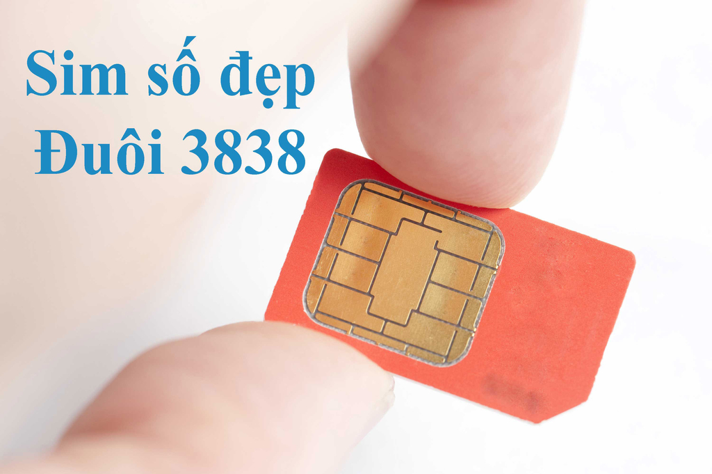 f:id:simmelinh:20190129170514j:plain